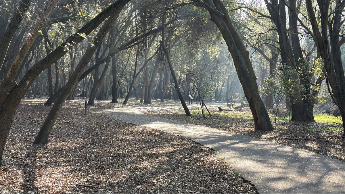 What is [Inferterra]?